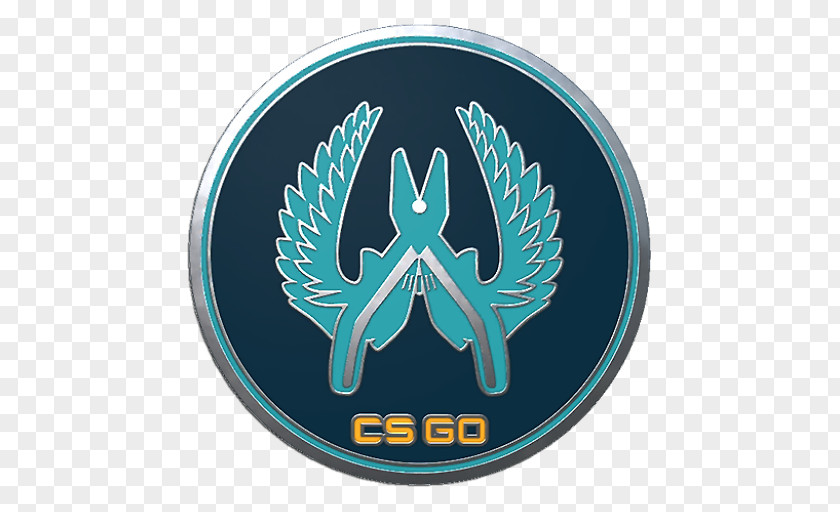 Csgo Collectible Pin Guardian Icon Counter-Strike: Global Offensive Guild Wars 2 Dust2 Steam PNG