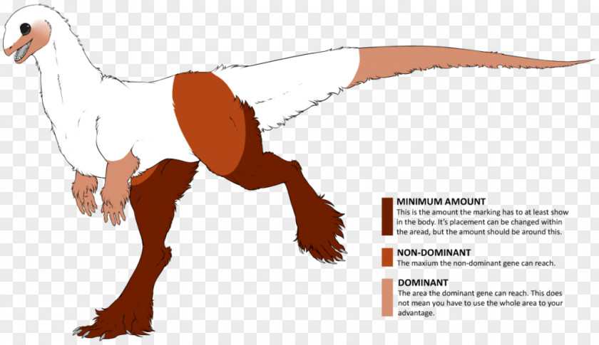 Dinosaur Okapi Drawing Rapetosaurus Beak PNG