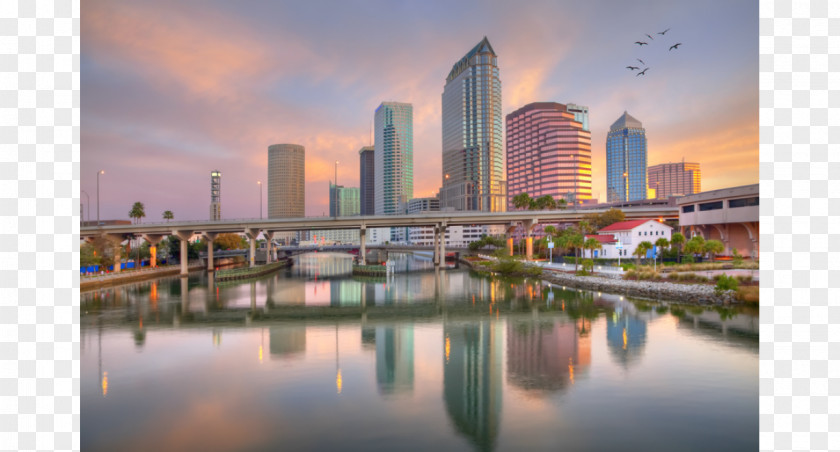 Downtown Tampa Bay Stock Photography Hotel PNG