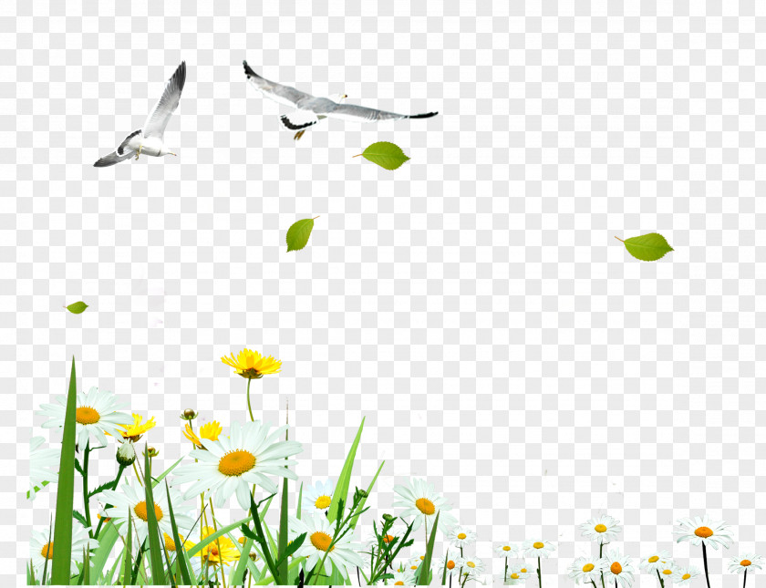 Field Scenery Download Gratis Wallpaper PNG