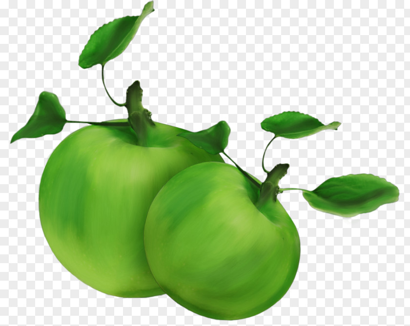 Green Apple Food Fruit Clip Art PNG