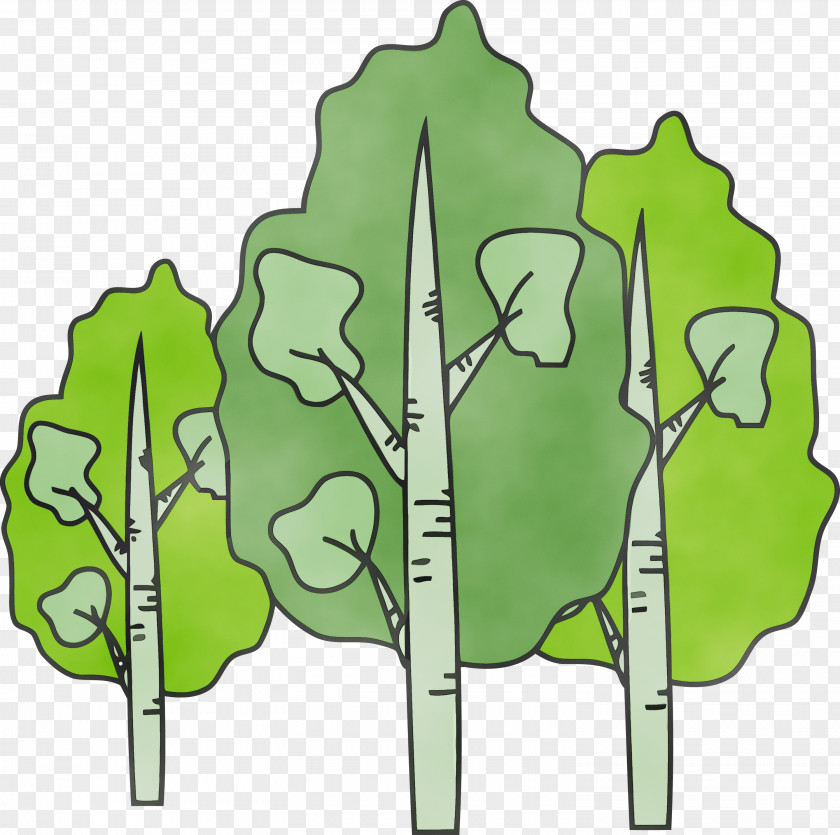Green Leaf Plant Tree PNG