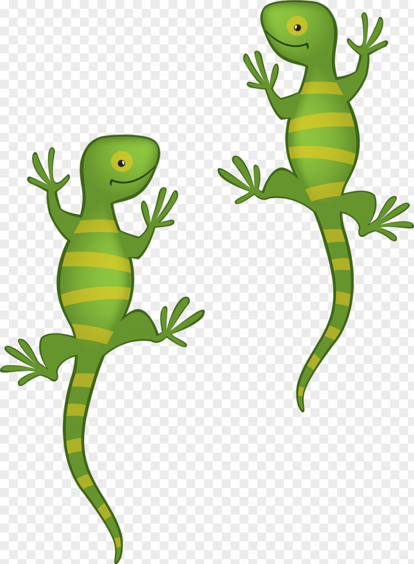 Lizard Green Iguana Child Animaatio Drawing PNG