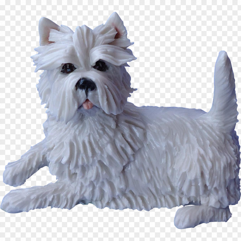 West Highland White Terrier Cairn Maltese Dog Companion Breed PNG