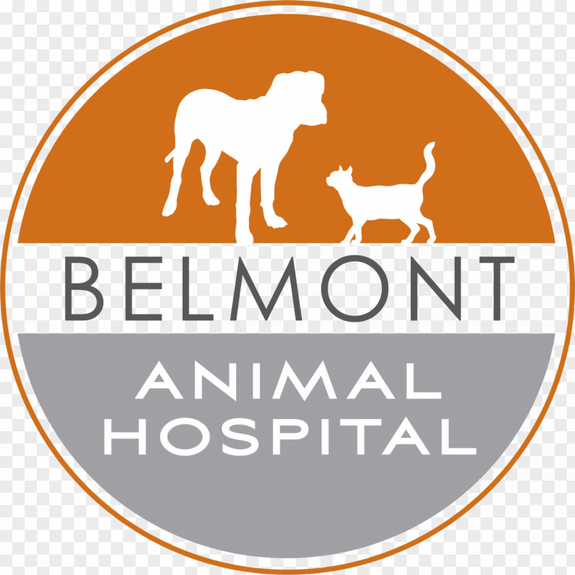 Belmont Animal Hospital Dog LBMC Blood Clinique Vétérinaire PNG