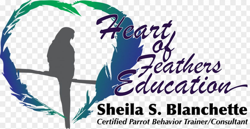 Bird Beak Education Behavior Feather PNG