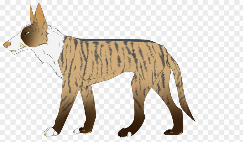 Cat Dog Breed Wildcat Tiger Lion PNG
