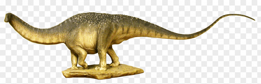 Dinosaur Apatosaurus Brontosaurus Reptile Sauropods PNG