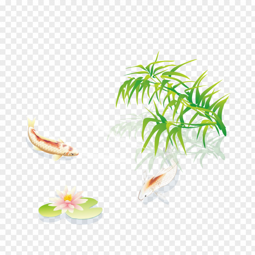 Lotus And Bamboo Fish Koi Nelumbo Nucifera Pond PNG