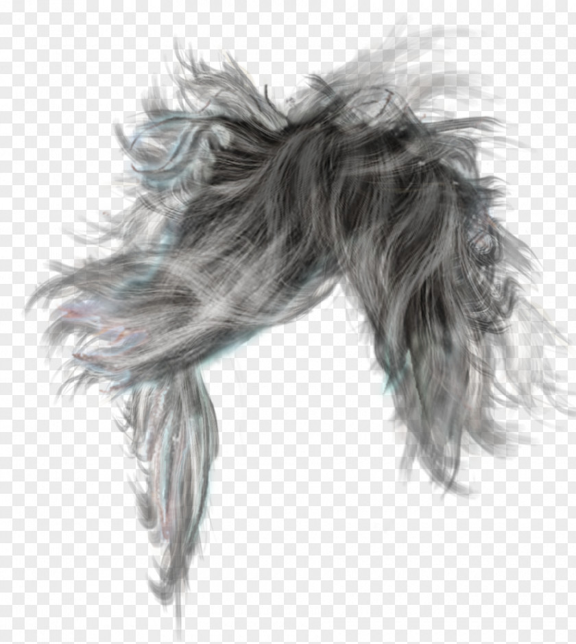 Men Hairstyle File Long Hair Wig PNG