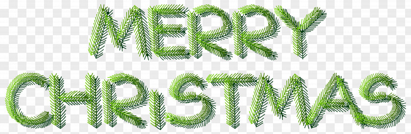 Merry Christmas Pine Text Decoration Clip Art Image Santa Claus Xmas PNG