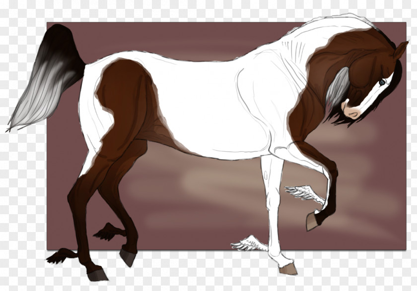 Mustang Mane Stallion Mare Pony PNG