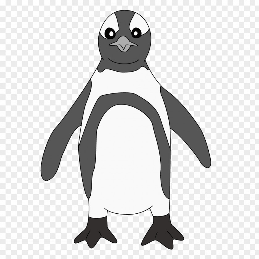 Penguin Beak Clip Art PNG