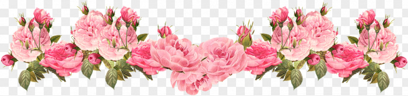 Pink Floral Background Spring Rose Flowers Clip Art PNG