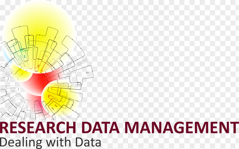Data Management Logo Information PNG