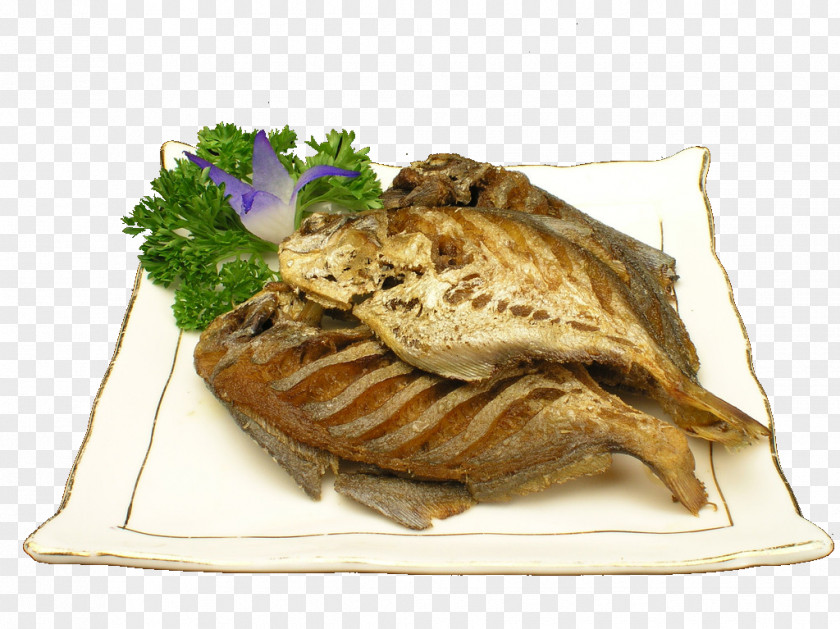 Flat Fish Spice PNG