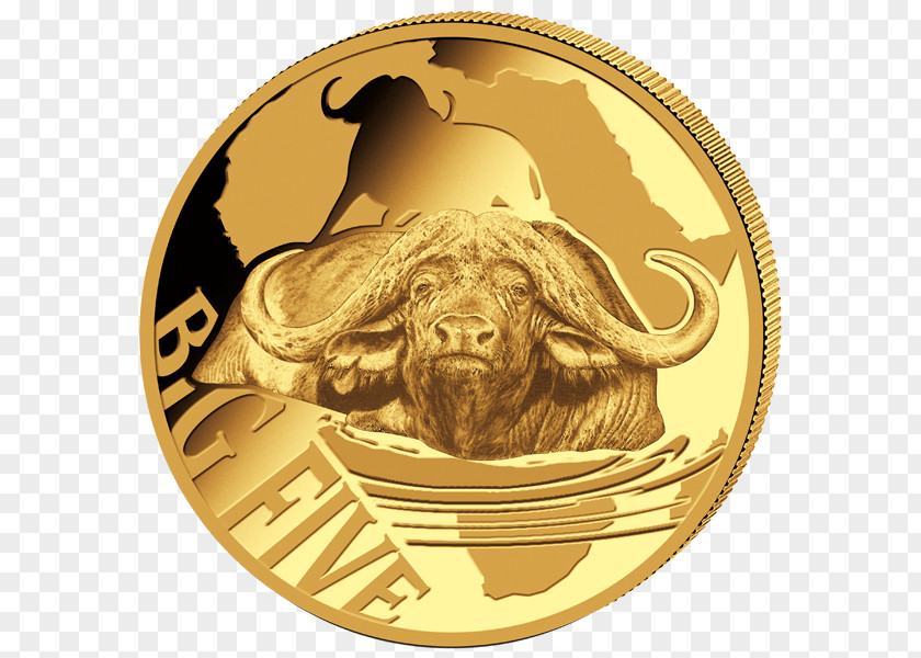 Gold Coin Troy Ounce Rhinoceros PNG