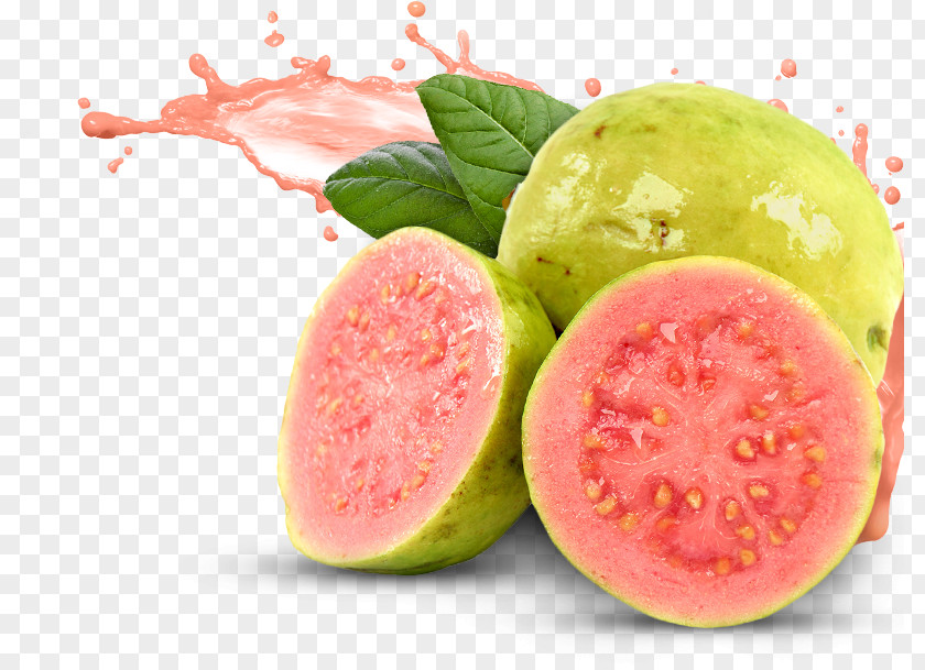 Guava Pic Juice Milk Caps Cuisine Of Hawaii Electronic Cigarette Aerosol And Liquid PNG