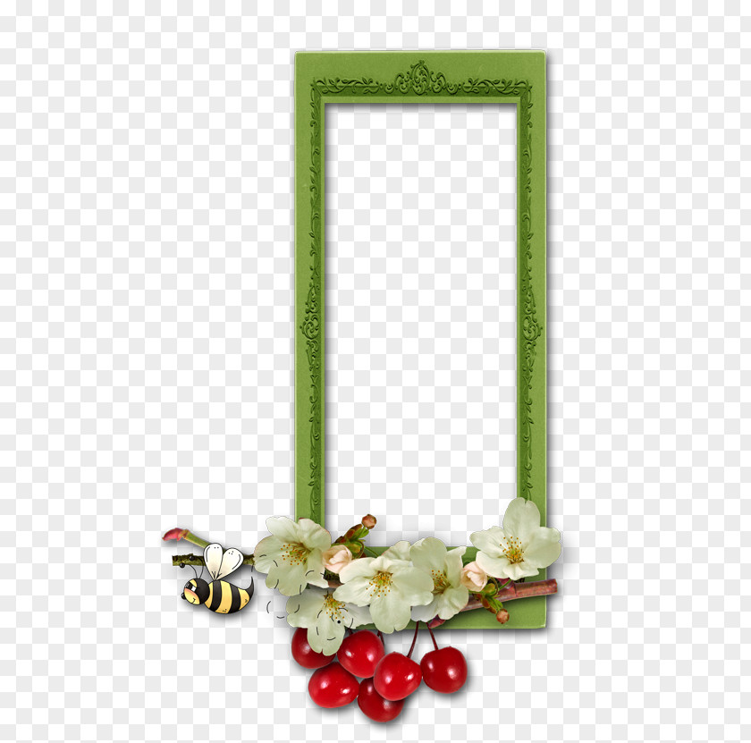 Hoop Picture Frames Image Design Photographic Film PNG