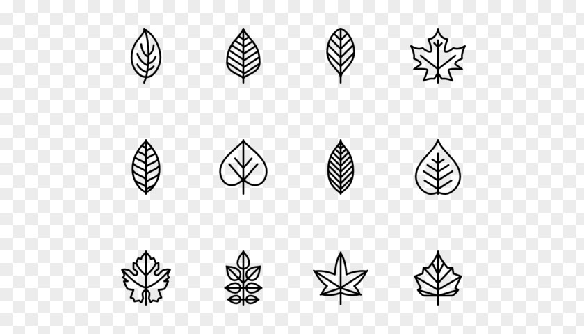 Leaf Collection Line Art Point Angle Font PNG