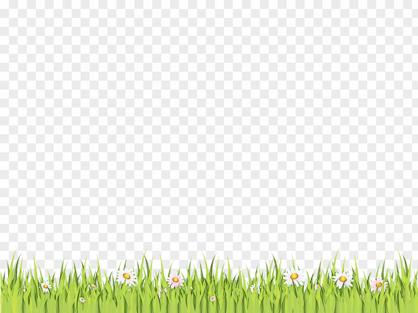 Prairie Grass Family Tree Background PNG