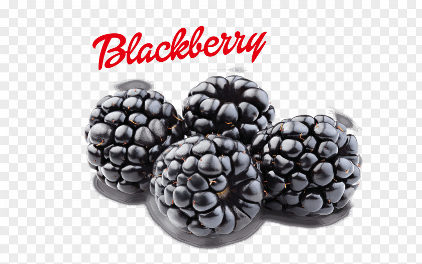 Blackberry BlackBerry Z10 Fruit Berries Limited PNG