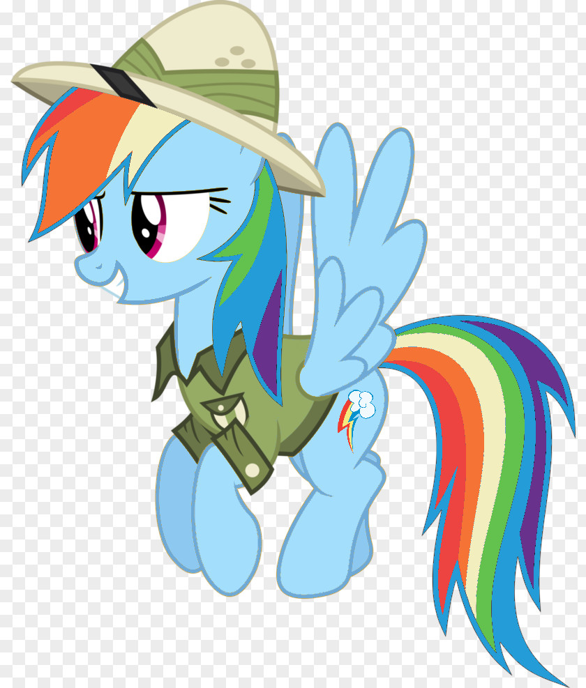 Daring Done Pony Rainbow Dash Pinkie Pie Applejack Equestria PNG