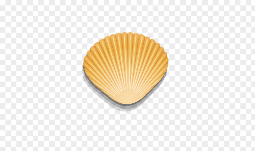 Golden Shell Seashell Mollusc Spiral PNG