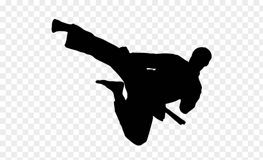 Karate Flying Kick Martial Arts Taekwondo PNG