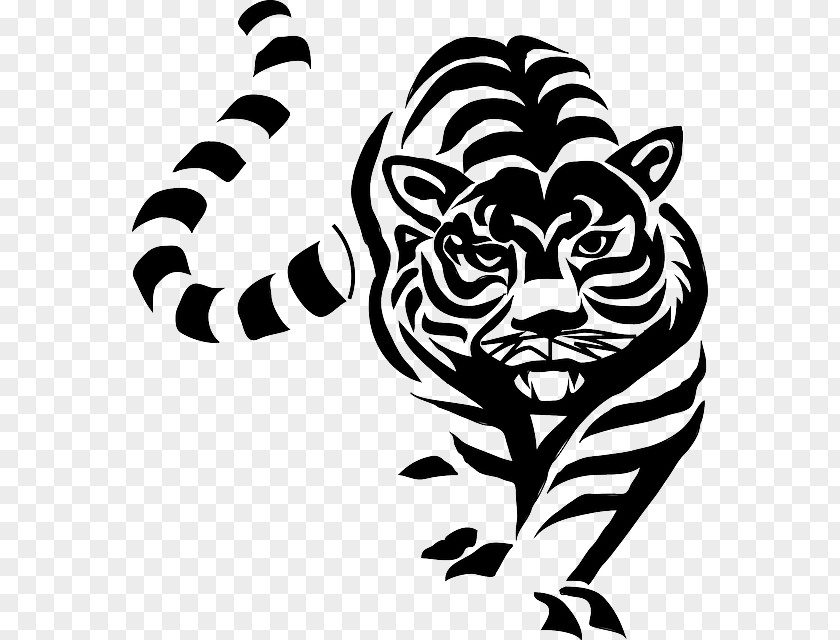 Lion Clip Art White Tiger Black Drawing PNG