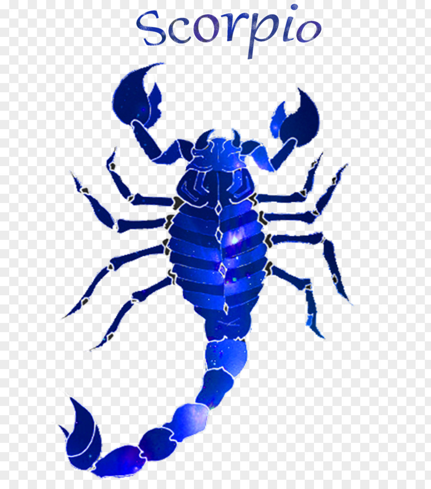 Scorpio Typography Clip Art Scorpion Insect Electric Blue Pattern PNG