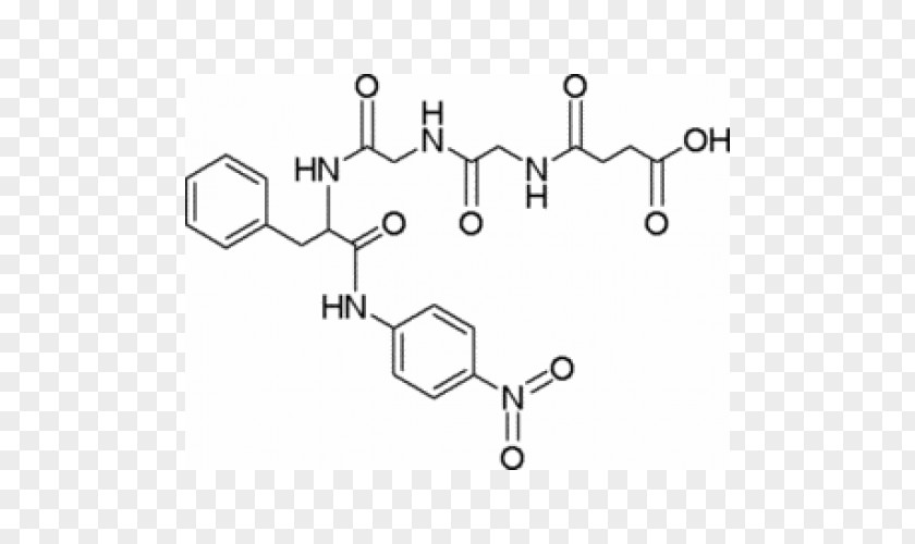 Succinyl Coenzyme A Synthetase Duocarmycin Enzyme Inhibitor Statin Competitive Inhibition Medicinal Chemistry PNG