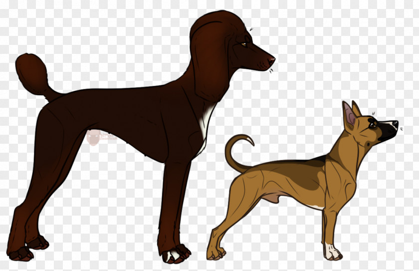 The Ranch German Pinscher Dog Breed Clip Art PNG