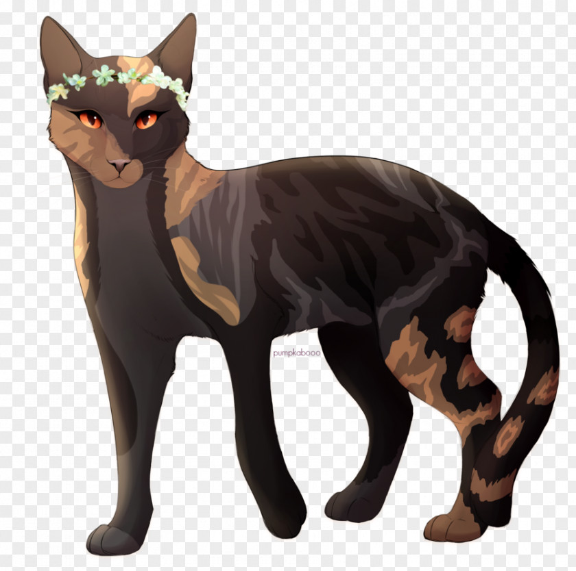 Cat Whiskers Domestic Short-haired Warriors Teller Of The Pointed Stones PNG