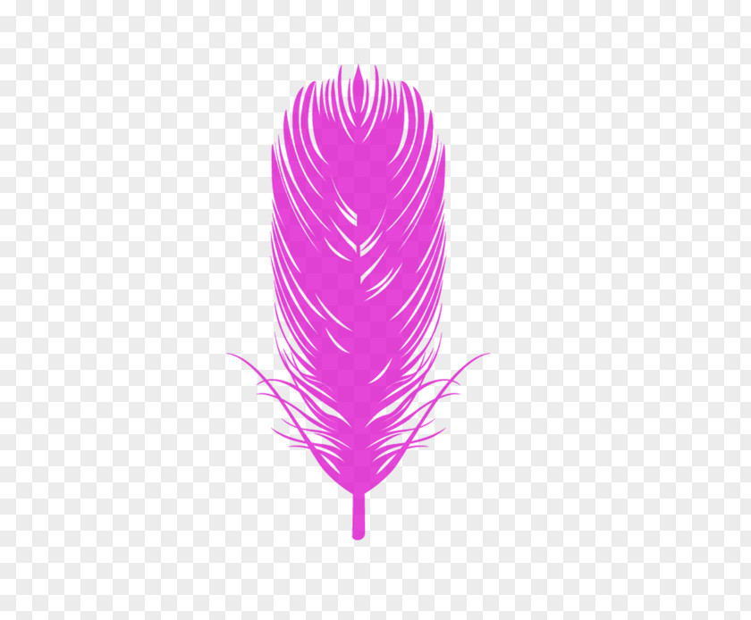 Colored Feathers Bird Eagle Feather Law Euclidean Vector PNG