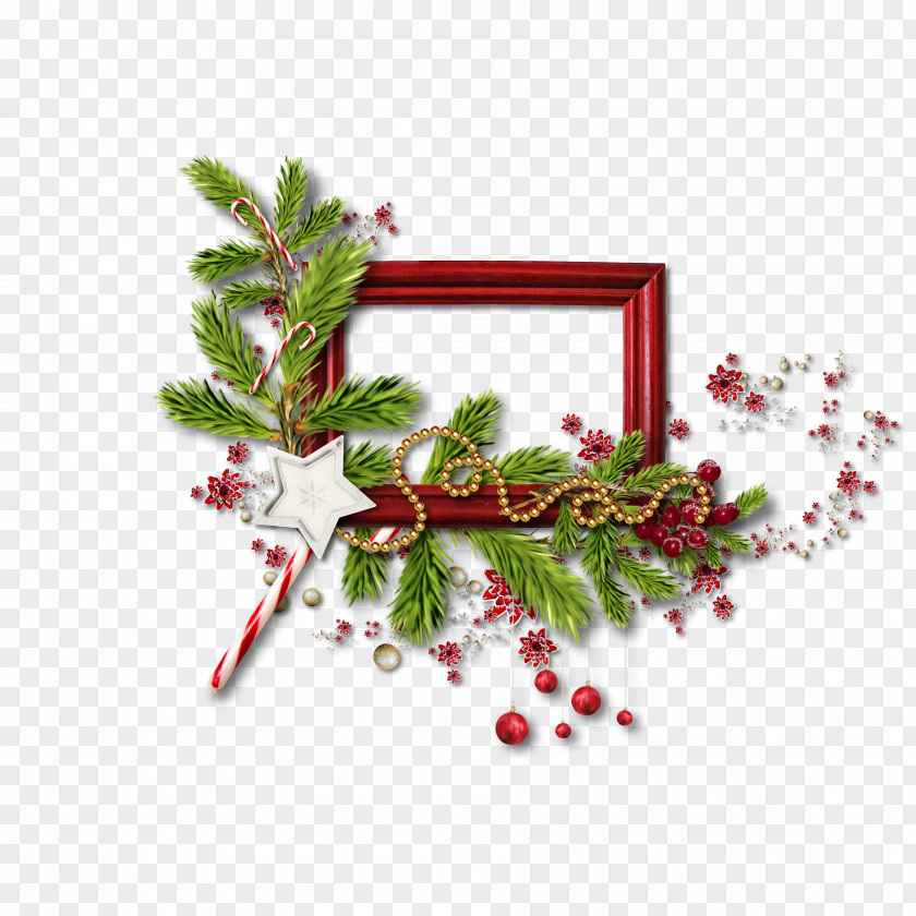Garland Picture Frames PNG