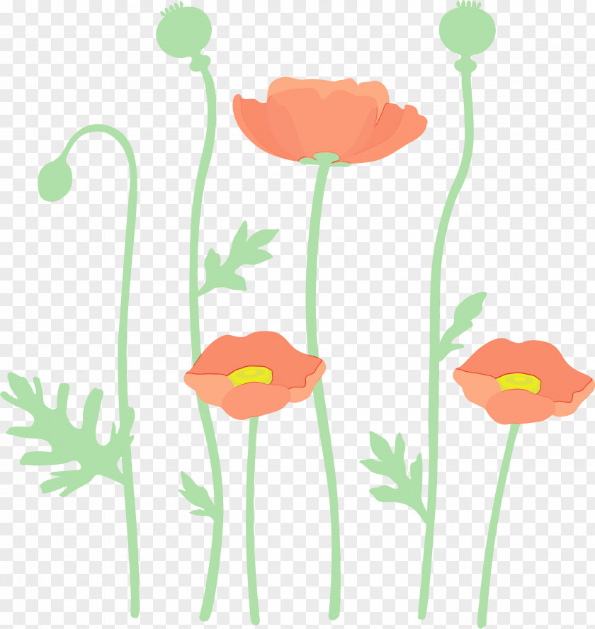 Plant Stem Flower Pedicel Poppy Family PNG