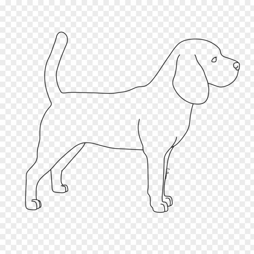Puppy Dog Breed Sporting Group Retriever PNG