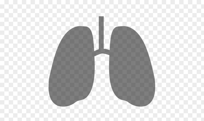 Respiratory Therapy Non-invasive Ventilation Lung Continuous Positive Airway Pressure Intensive Care Medicine PNG