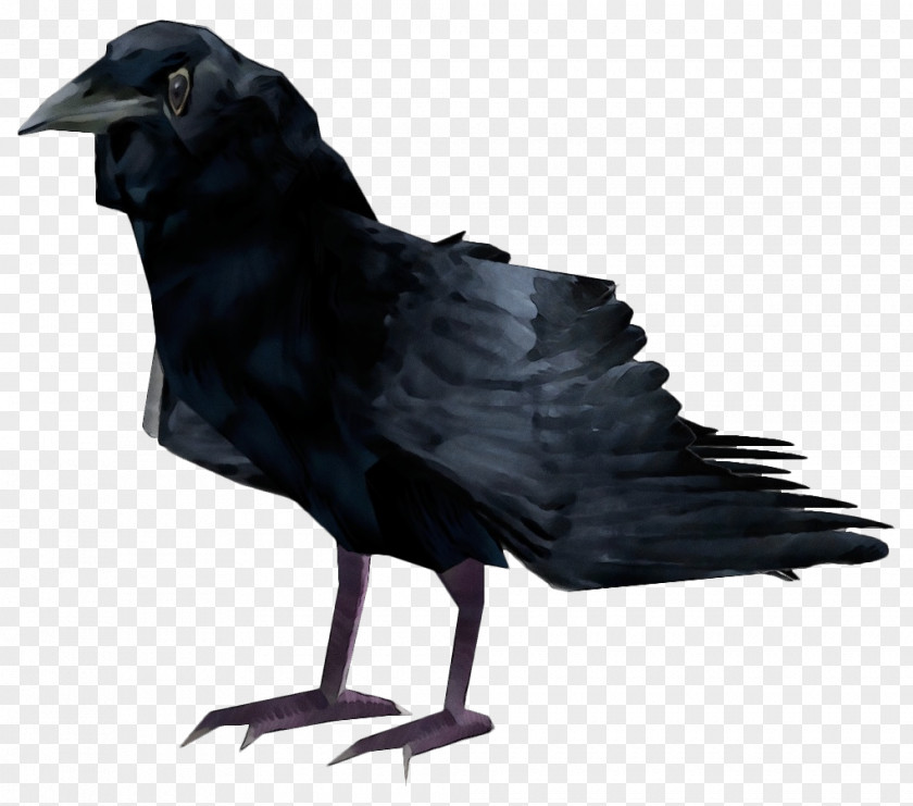 Beak New Caledonian Crow Bird Raven Fish PNG