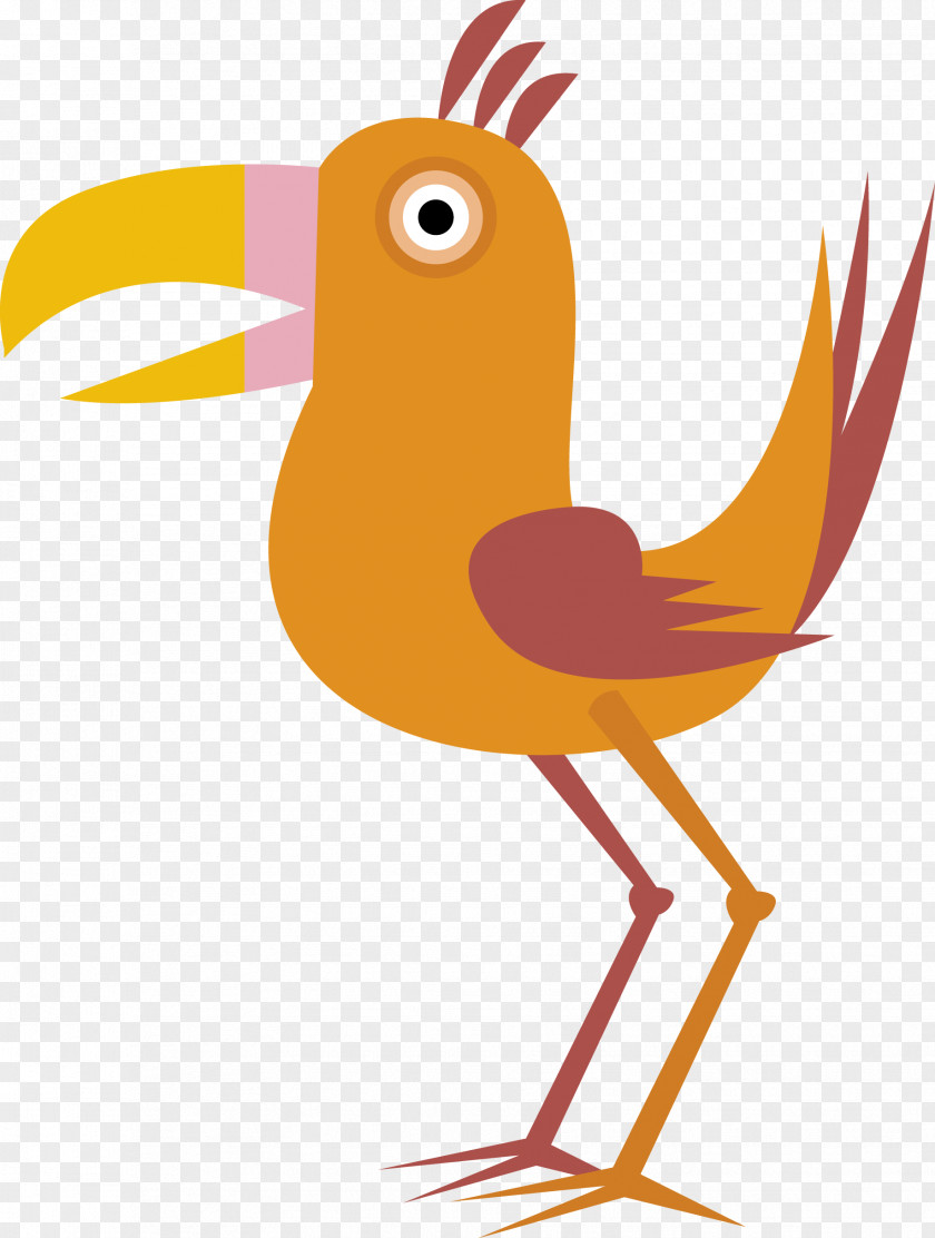 Bird Vector Euclidean Cartoon Drawing PNG