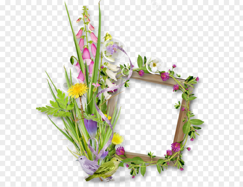 Frame Flowers Picture Frames Two Short Stories PNG