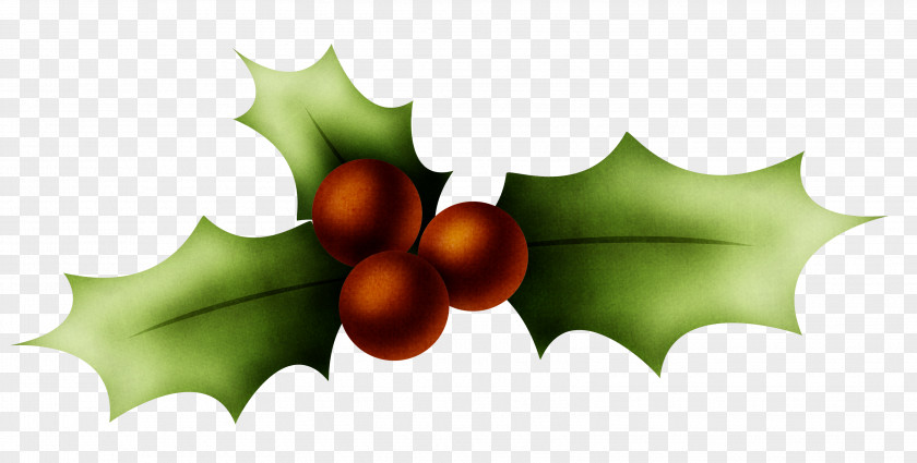 HOLLY Holly Christmas Clip Art PNG