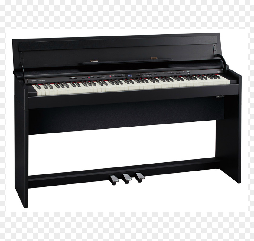Piano Digital Roland DP603 Corporation Keyboard PNG