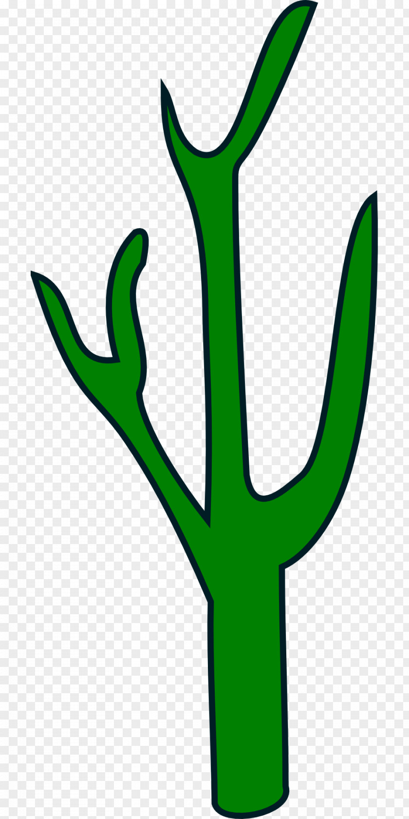 Suculent Cactaceae Plant Saguaro Clip Art PNG