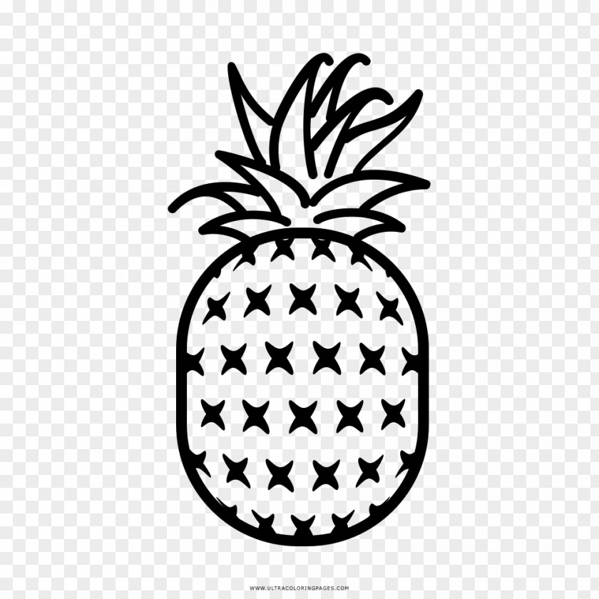 Pineapple Drawing Coloring Book Black And White PNG