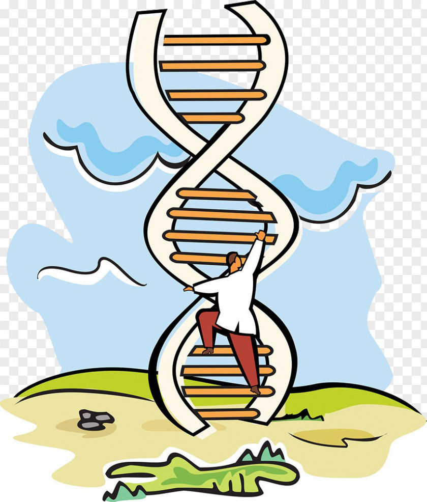 Scientific Experiments DNA Ladder A-DNA Scientist Stock Photography Molecular-weight Size Marker PNG