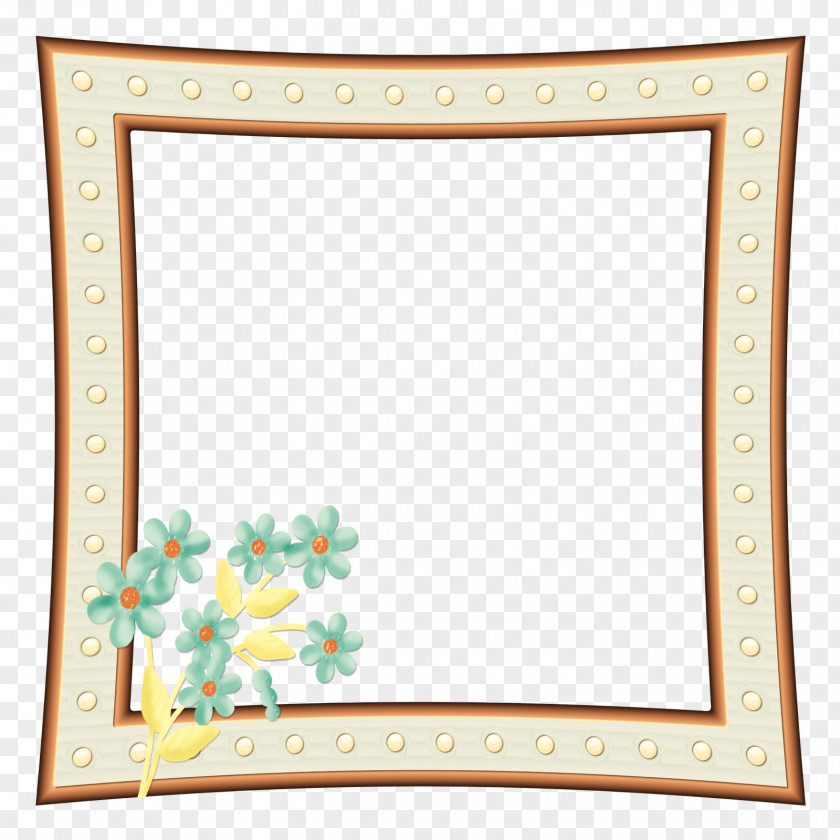 Seashell Frame Picture Frames Poster Film Painting Decorative Arts PNG