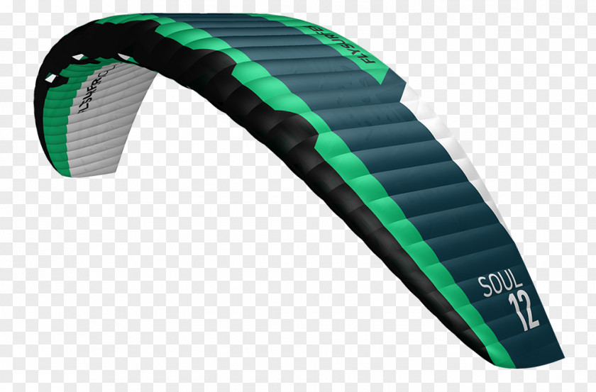 Surfing Kitesurfing Foil Kite Snowkiting Buggy PNG