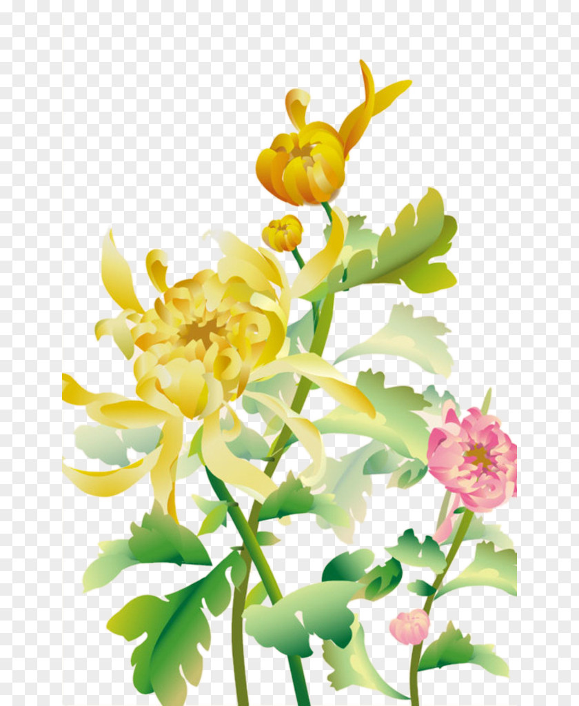 Vector Chrysanthemum Xd7grandiflorum Floral Design Flower PNG